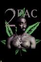 2pac4.jpg